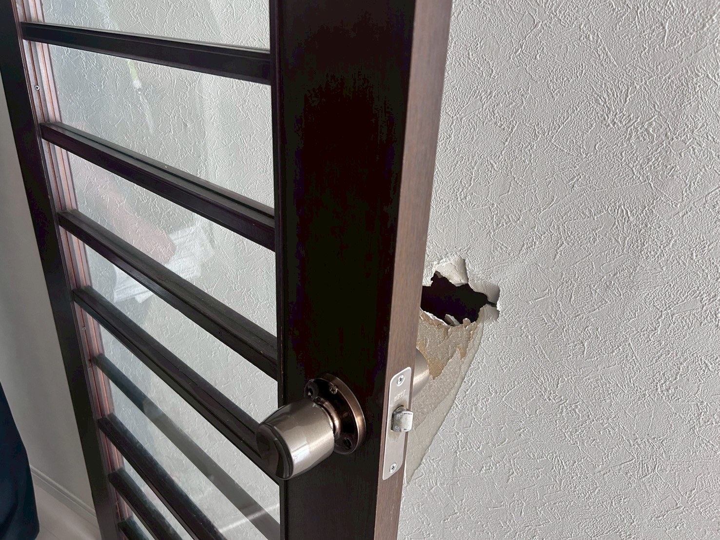 リビング 建具 拡大 (3)