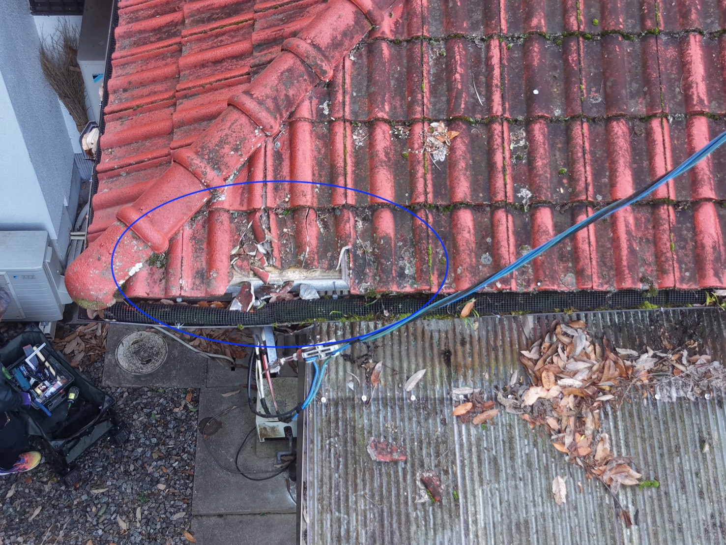 屋根 全景 (5)のコピー