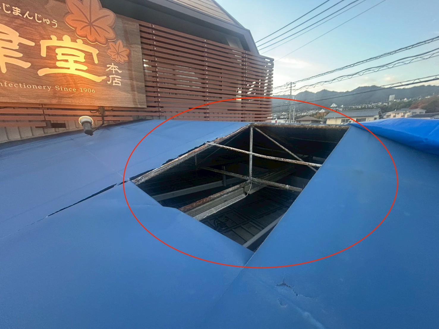 屋根シート 全景 (2)