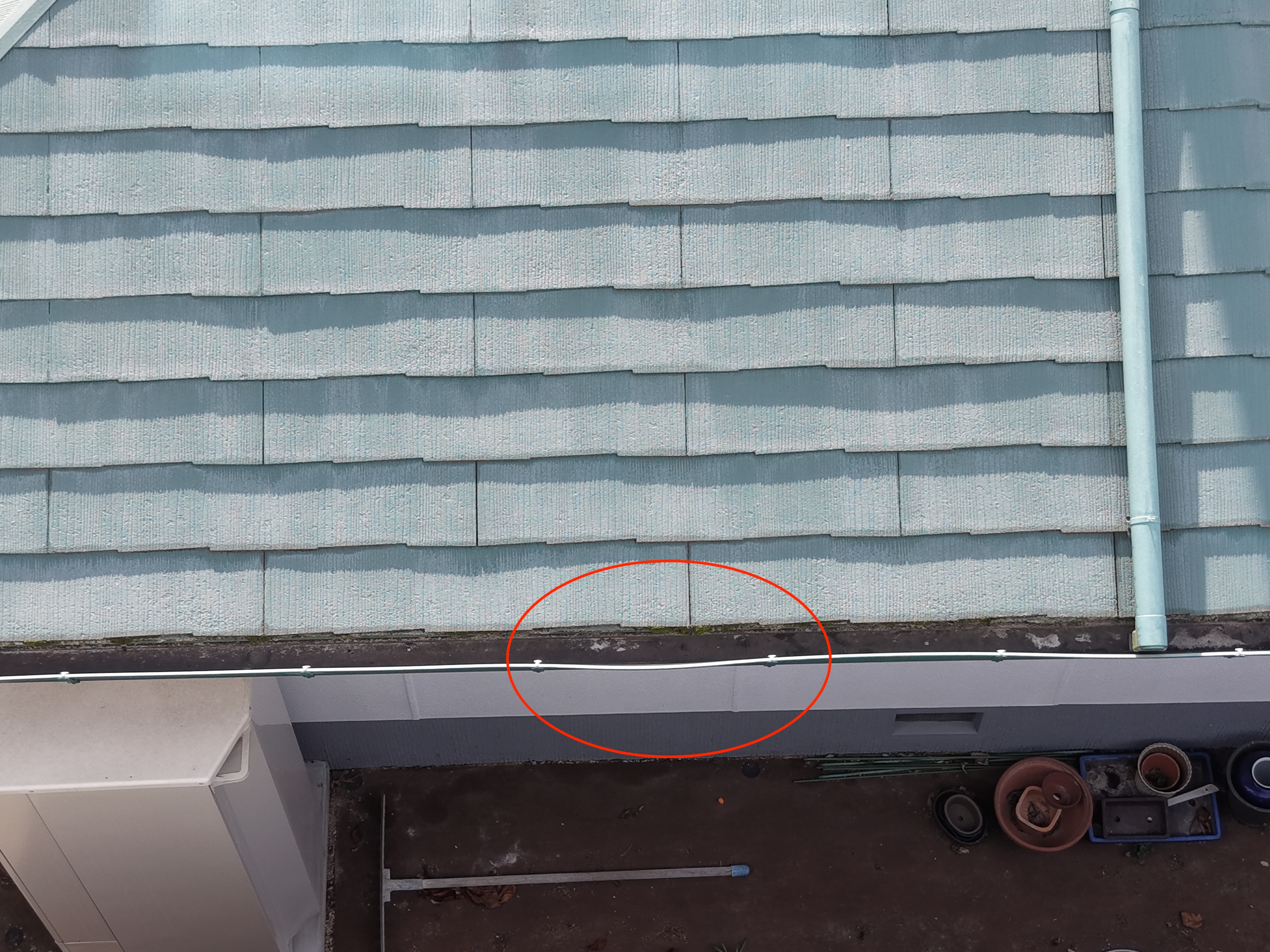 Dji Fly 20260224 091116 0172 1771891942949 Photo