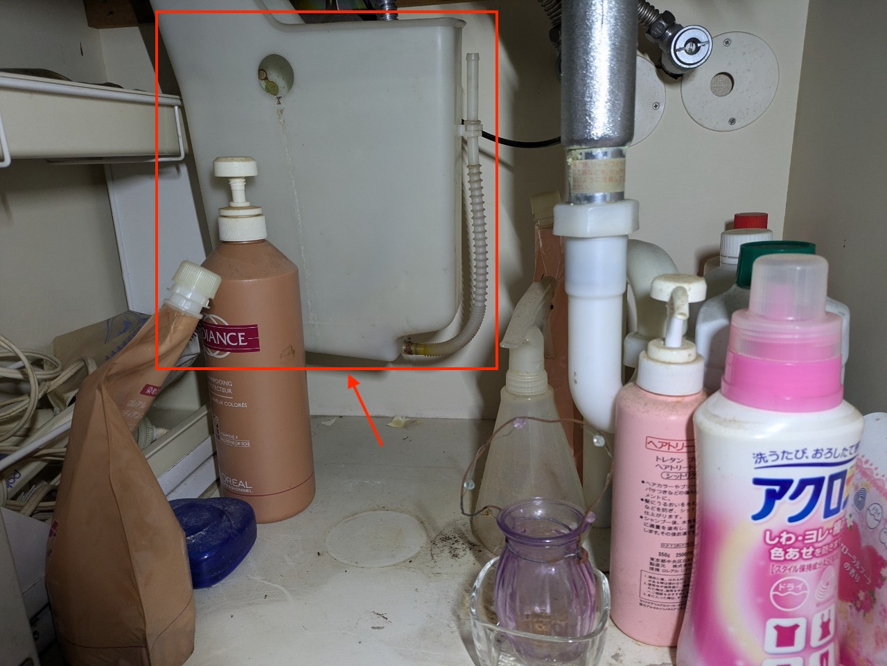 Æ´é¢å°æ¡å¤§â¡