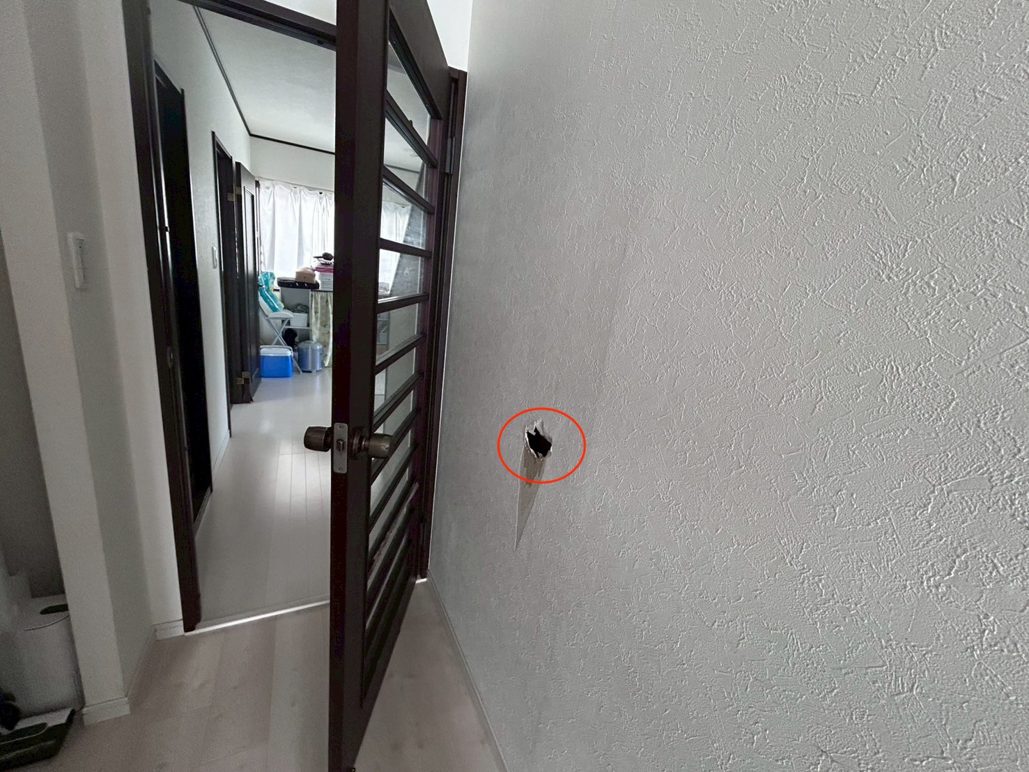 リビング 建具 全景