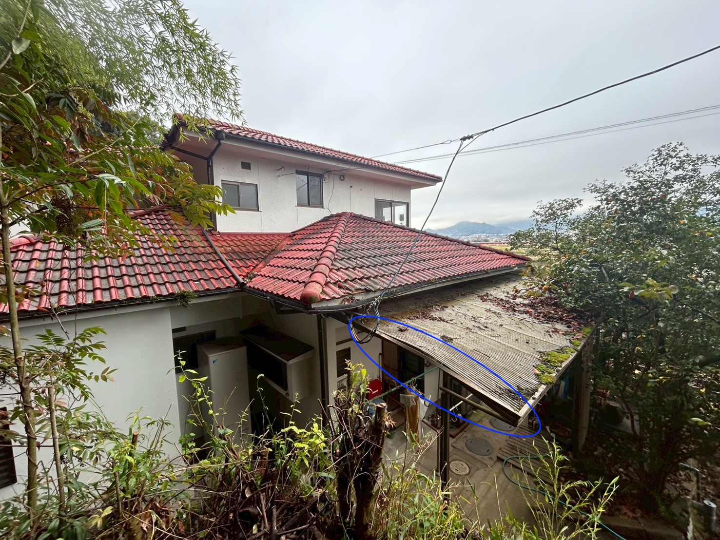 屋根 全景 (2)のコピー