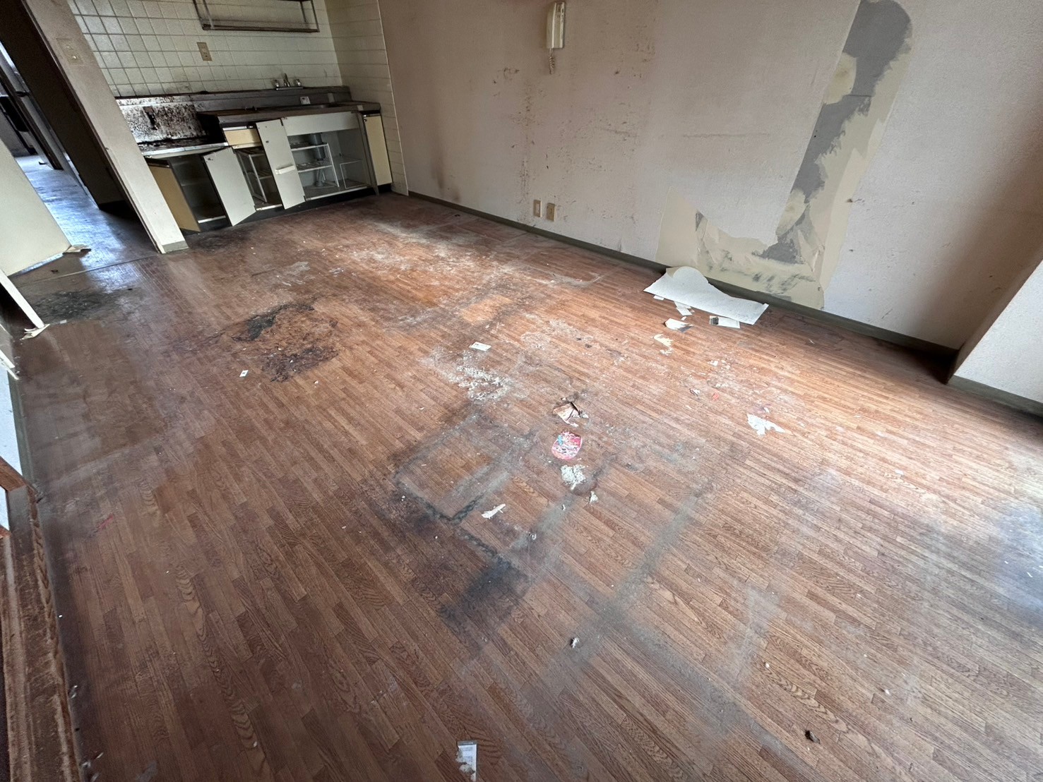 リビング Cf 全景