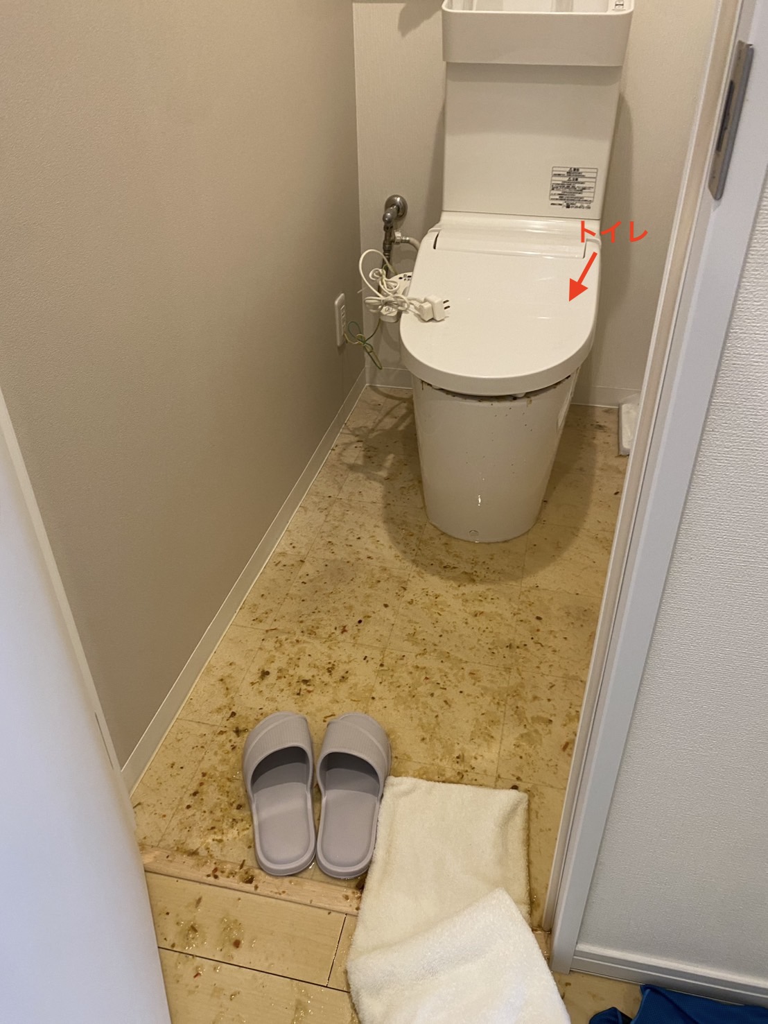 Ãã¤ã¬ãè¢«å®³åç